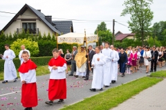 mDSC_3209